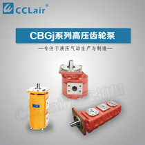 Single-link high-pressure gear pump CBGJ1020 1025 1050 1050 2032 2100 3100 3160 3200
