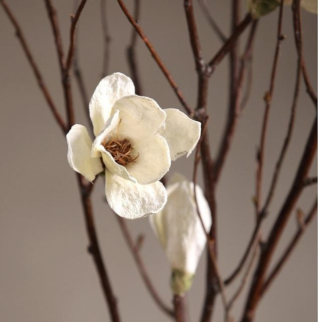ຫ້ອງຮັບແຂກຊັ້ນຢືນທໍາມະຊາດ magnolia ລໍາຕົ້ນດອກໄມ້ bouquet ລໍາຕົ້ນສາຂາຕົ້ນໄມ້ປະດັບ magnolia ດອກໄມ້ດອກໄມ້ທຽມຫ້ອງນອນ