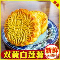 Guangzhou mooncake restaurant Cantonese double egg yolk lotus bean paste mooncake pastry handmade bulk multi-flavor Mid-Autumn Festival