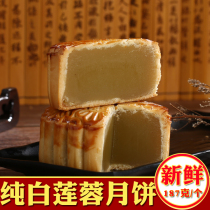 Guangzhou moon cake traditional restaurant pure white lotus seed wide style handmade bulk old pastry traditional Mid Autumn Festival group purchase