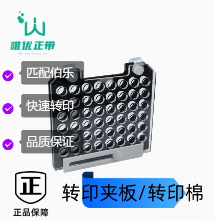 wb转膜夹 wb三明治夹板 伯乐bio-rad夹板黑白孔转膜夹板1703931
