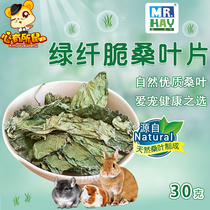 Mr Grass green fiber crispy mulberry leaves 30g Chinchilla Guinea pig Hamster rabbit snack