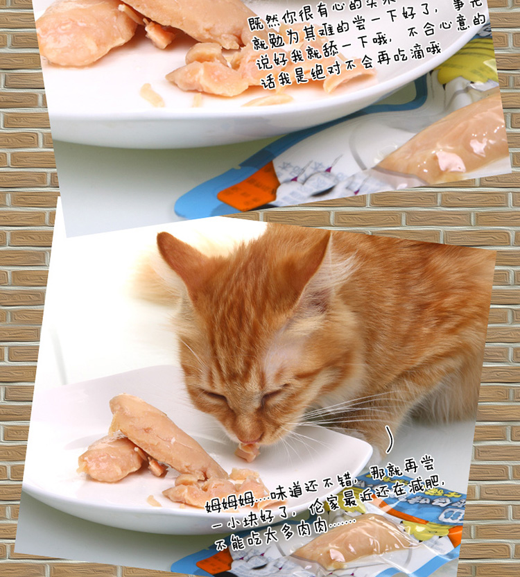 Cat Puff Chicken ức gà luộc lành mạnh 12 gói / 24 gói 4 hương vị tùy chọn - Đồ ăn nhẹ cho mèo bánh mèo thần tài yaruna