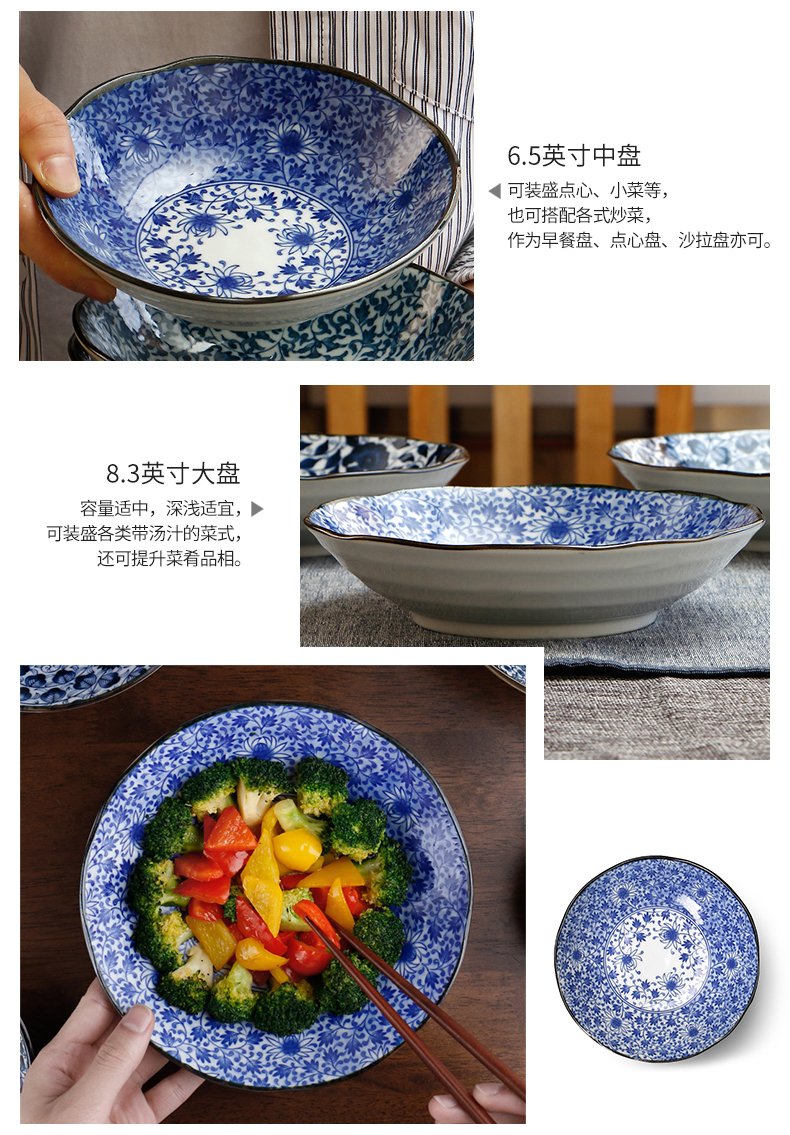 Meinung burn individuality creative rice bowl of fruit fruit dish set tableware of household ceramic bowl imported from Japan