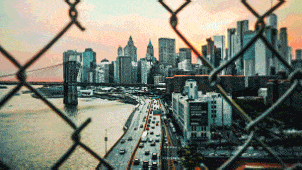 5.gif