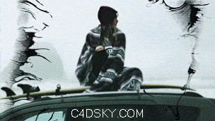 Image 021.gif