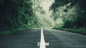 331.gif