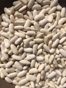 Turkey imports white beans in the country's imports