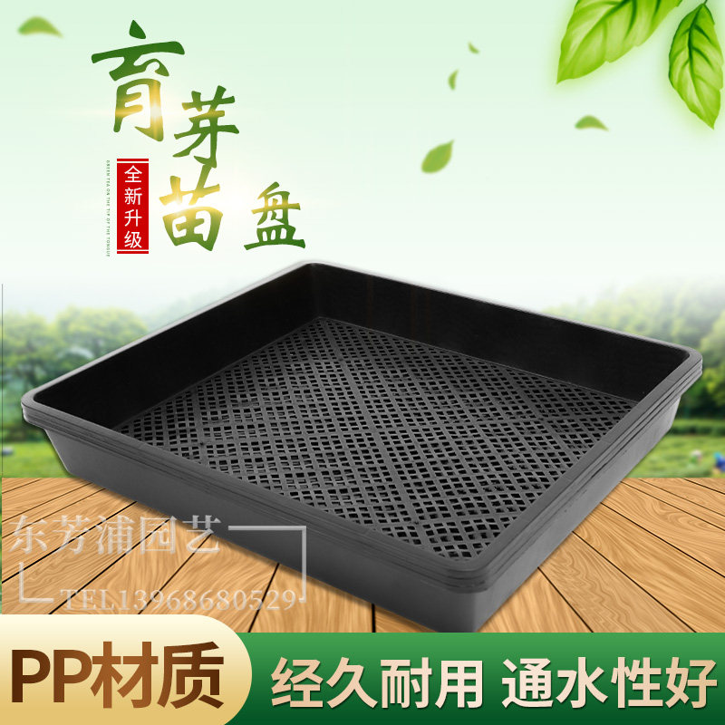 Sprout plate seedling potted rice seedling plate sprout vegetable plate multi-meat storage plastic square plate Maca plate rectangular plate