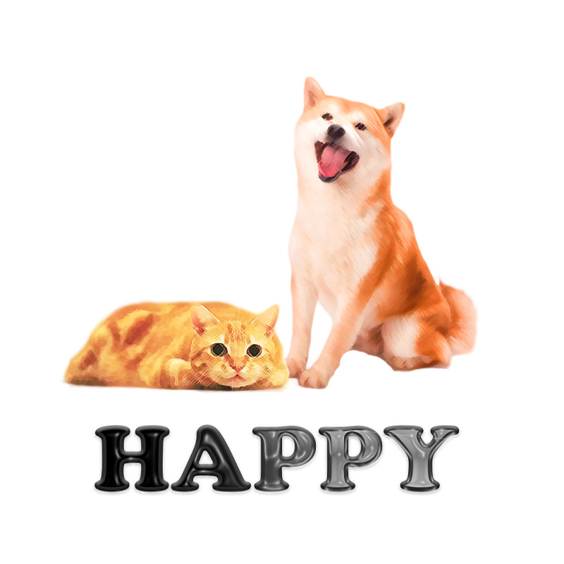 黑皮Happy宠物用品的LOGO