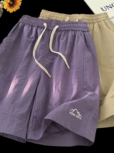 Сиреневые быстросохнущие дышащие пляжные шорты, спортивные дизайнерские ретро штаны, подходит для подростков, свободный крой, тренд сезона, в американском стиле