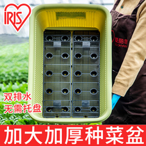 Household vegetable pot large balcony planting pot resin rectangular basin deepening Alice flower pot planting box