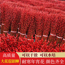 Silver Willow Branches Dried Flowers Red New Year Silver Willow Genuine Flowers Fresh Branches Indoor Pendulum Dry Branch Water Flower Arrangement Chinese Lunar New Year Fo Bucket Decoration