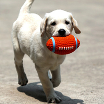 Pooch Toy Teddy Puppies Antithets Vocals Vocal Balls for Golden Hair Large Dog Grinders Resistant to Pet Supplies