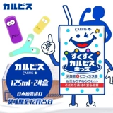 Япония импортированная кальпис Calpis Calpis Детские лактат детские пробиотики 125 мл*24 коробки
