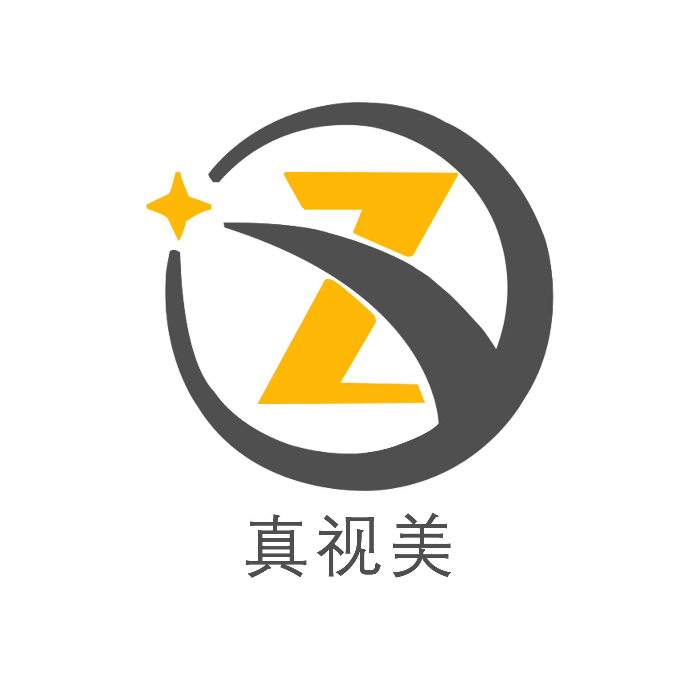真视美科技