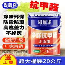 Anti-formaldehyde clean taste environmental protection interior wall latex paint wall paint white indoor wall paint paint color paint 20KG