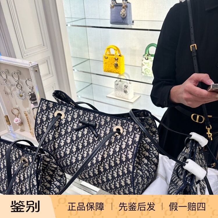 Dior/26 New Model Promenade Bow Monogram Tote Bag Shoulder Bag Paris Cute Cat Genuine Product