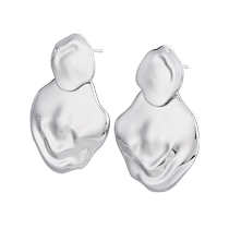 Bailan 925 silver earrings for women simple versatile light luxury niche design earrings ED2270