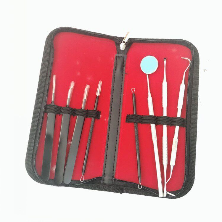 Amazon tail single tooth cleaning set 304 stainless steel, fine workmanship, solid and weighty for personal use as a gift