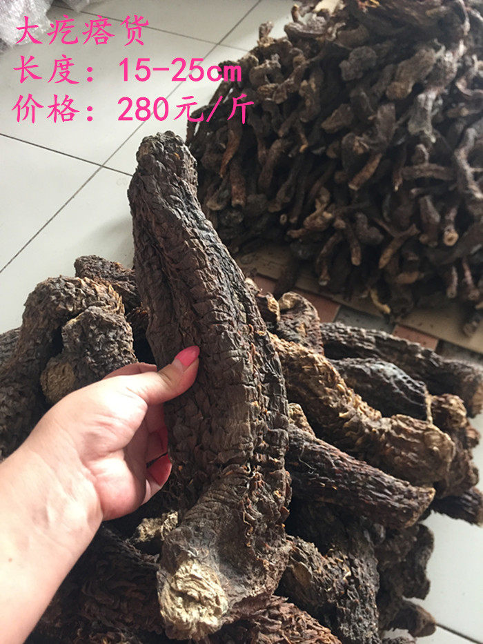 () Inner Mongolia specialized 