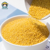 Aiais home Xinmi Qinzhou yellow millet farm self-produced grains pregnant woman moon millet porridge 500g