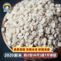 New product Fujian Ninghua coix seed farm-produced small coix seed rice seed Coix seed Small coix seed 1000g