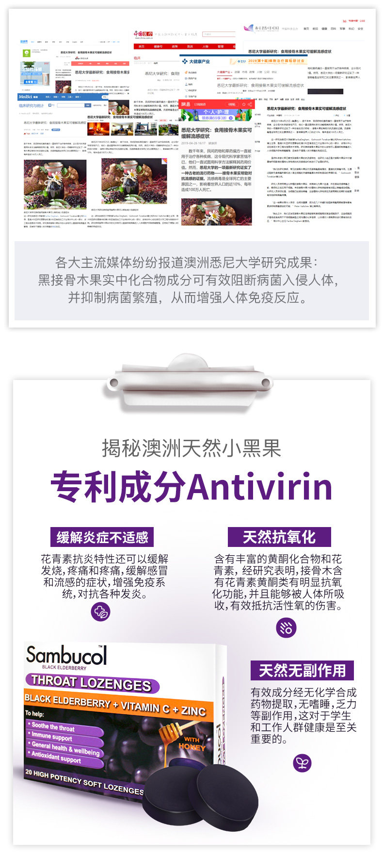 1015-Honey Hill Sugar_08.jpg