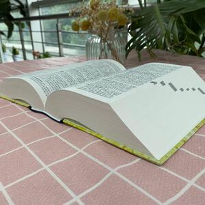 俗语大词典 温端政 主编 汉语/辞典文教 新华书店正版图书籍 商务印书馆
