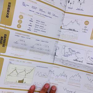 趋势投资 金融市场技术分析指南 丁圣元 著 金融经管、励志 新华书店正版图书籍 人民邮电出版社