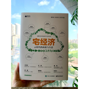 宅经济 盘和林,张宗泽,沈芝羽 著 经济理论经管、励志 新华书店正版图书籍 电子工业出版社