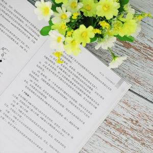 多边共管主权互联网 法理依据及其架构体系和原型导论 李挥,杨昕,綦九华 著 计算机系统结构（新）专业科技 新华书店正版图书籍
