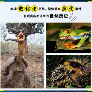 生命的进化 (英)大卫·爱登堡(David Attenborough) 著 赵江波,夏雪,王西敏 译 中学教辅文教 新华书店正版图书籍 中信出版社