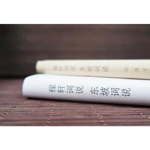 稼轩词说 东坡词说 顾随 著 文学理论/文学评论与研究文学 新华书店正版图书籍 浙江人民美术出版社