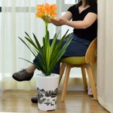 Нежная орхидея бонсай моделирование поддельные фальшивые цветочные набор зеленые растения Внутренняя гостиная телевизор xuangance Место места в баре декоративные цветы