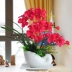 Phalaenopsis mô phỏng hoa lụa hoa trang trí trang trí nhà phòng khách trong nhà bàn trà TV tủ giả hoa mô phỏng hoa Hoa nhân tạo / Cây / Trái cây