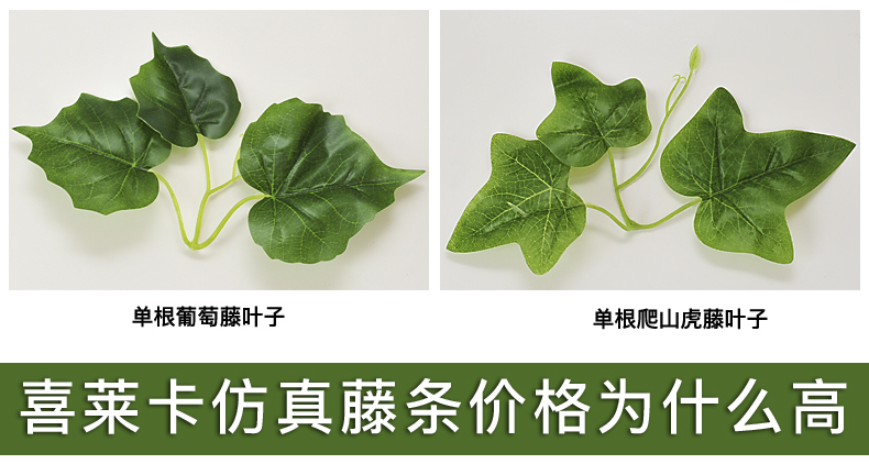Hoa treo tường mây PU mô phỏng cao cây xanh mây dây leo xanh thì là trong nhà điều hòa không khí trần trang trí cây nho - Hoa nhân tạo / Cây / Trái cây giả hạc