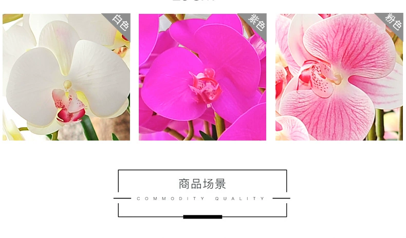 Phalaenopsis Giảm thiểu phù hợp với hoa giả hoa lụa hoa nhựa trang trí nội thất phòng khách trang trí sàn hoa trong chậu cây trồng