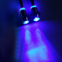 Две лампа версия синей лампы