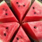 Черная кожа Черная красота саженя семян семян семян