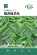 100 оригинальных семян огурца по всей земле (купить 2 получить 1 бесплатно)