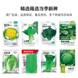 Полный список семян овощей. Зеленые овощи подходят для подзимней посадки. Осенние и зимние семена кориандра, шпината, семян личинок рапса и зимних семян.