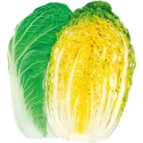 Полный список семян овощей. Зеленые овощи подходят для подзимней посадки. Осенние и зимние семена кориандра, шпината, семян личинок рапса и зимних семян.