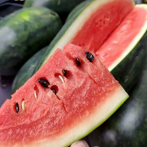 Черная кожа Черная красота саженя семян семян семян