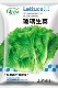 Семена салата стеклянные 10г/пакет (при покупке 2 получи 1 в подарок)