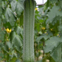 Мочалка, 3 оттенок, 10г