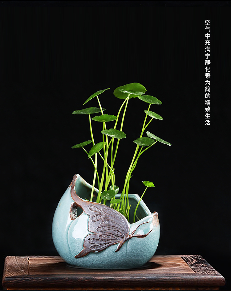 Technology of Japanese circular hydroponic pottery pot planting grass flower pot flowers and flowers large ceramic culture water lily money