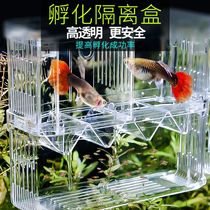 Incubator Small box Fish egg breeding box Aquarium tank ovulator Large seedling zebrafish fish tank hatchery box Isolation