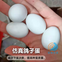 Pigeon Egg Pigeon False Egg Letter Dove Emulation Egg Fake Pigeon Egg Racing Dove Supplies Appliance Big All Dove Plastic Solid