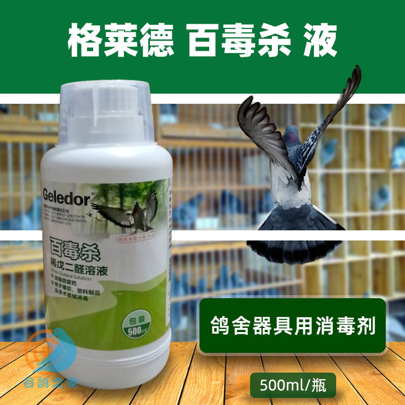 Gladgeon dove medicine 100 poisonous thimerosal pigeon special bird with parrot bird cage sterilised sterilized water dove sterilised